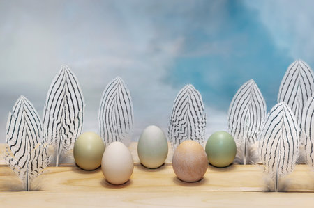 composition of eggs and feathers on a blue watercolor background.