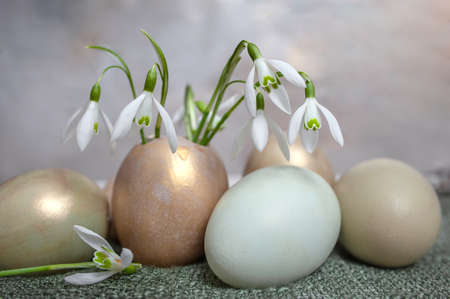 composition of eggs and snowdrops on the background of a tablecloth. Country style.の写真素材