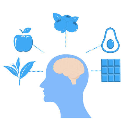 Best food for strong brain. Strong healthy brain character.  Isolated on white background. Health food, diet, products, nutrition, nutriment concept.のイラスト素材