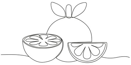 Minimalist one line illustration of whole orange and slices. Ideal for coloring pages, educational materials, children's activities, product packaging, and modern food themed artworkのイラスト素材
