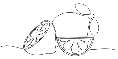 Minimalist one line illustration of whole lemon and slices. Ideal for coloring pages, educational materials, children's activities, product packaging, and modern food themed artworkのイラスト素材