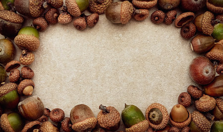 Decorative acorn frame in green and brown colors, top view with central blank space for seasonal text or design.の写真素材