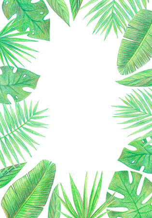tropical exotic palm leaves frame. hand drawing colored pencils illustration. isolated elementsの写真素材
