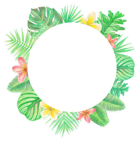 tropical exotic leaves and flowers circle frame. palm leaves and plumeria. hand drawing colored pencils illustration. isolated elementsの写真素材