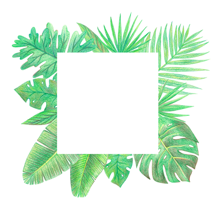 tropical exotic palm leaves frame. hand drawing colored pencils illustration. isolated elementsの写真素材