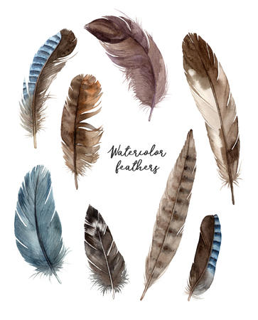 watercolor set illustrations feathers. hand painting isolated elements.の写真素材