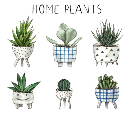 watercolor home plants. hand painting isolated elements.の写真素材