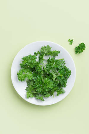 Parsley in a plate on a green backgroundの写真素材