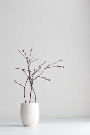 Branches in a white vase on a white tableの写真素材