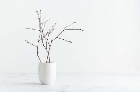 Branches in a white vase on a white tableの写真素材