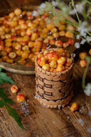Cloudberry berries with the water dropsの写真素材