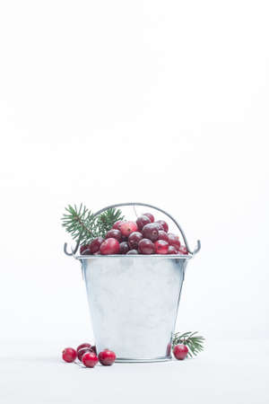 Frozen cranberry berries on a white background and fir treeの写真素材