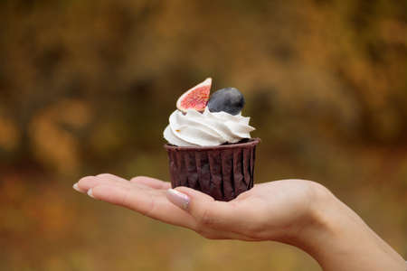 Autumn sweet dessert decorated on a table in the parkの写真素材