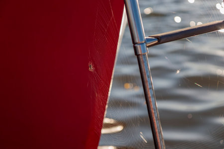 Spider web on the dock pier harbor sailing boat in water. sunlight marina in Finlandの写真素材