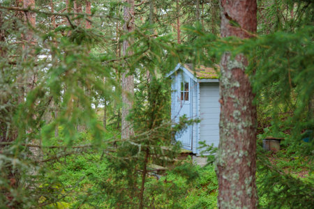 Wooden toilet in the forest. Blue colored natural bio WC cabin among trees on green grass. Finlandの写真素材