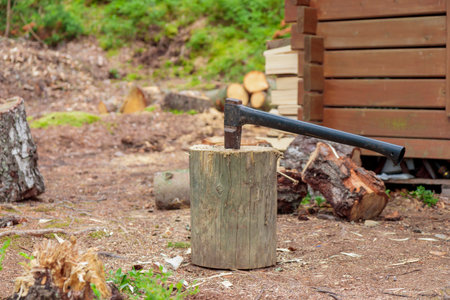 Ax in stump. Ax ready for cutting timber in Finland forest. Preparing firewood for the winter to...