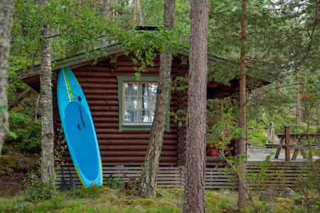 Paddle surf board and oar or SUP board on shore in Finland near Finnish summer house in the forest. Good time for summer vacation, holidays, recreation, activityの写真素材