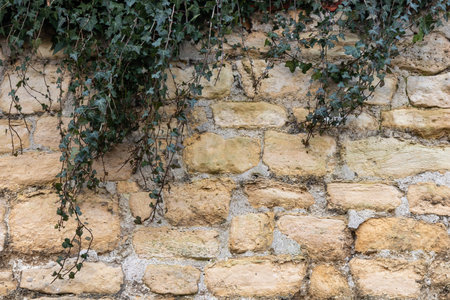 Rough texture of very old weathered stone brick wall with traces of time and ivy on surface. Texture background for design. Mason craftの写真素材