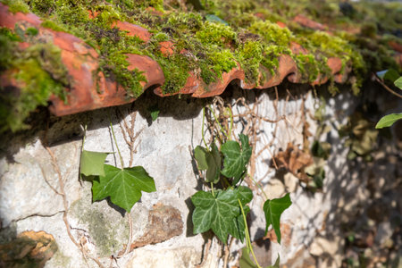 Rough texture of very old weathered stone wall or fence with traces of time and mold and moss on surface. Texture background for design. Mason craftの写真素材