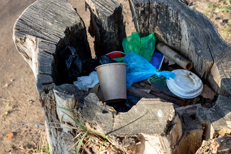Trash discarded inside a tree stump on a city park or street. A striking contrast between urban pollution and natural elements, highlighting issues of littering and environmental neglectの写真素材