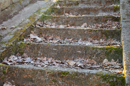 Old stone steps covered with dry autumn leaves. Worn and weathered, seasonal change, and the quiet passage of time in a natural or urban settingの写真素材
