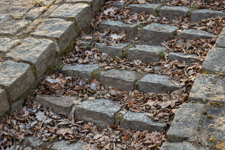 Old stone steps covered with dry autumn leaves. Worn and weathered, seasonal change, and the quiet passage of time in a natural or urban settingの写真素材