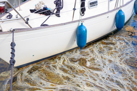Polluted marina water near a sailing boat is covered with harmful blue-green algae, cyanobacterial...