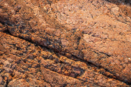 Close-up of Finnish granite. Natural stone texture with visible grains and patterns, highlighting durability, ruggedness, and northern geological featuresの写真素材