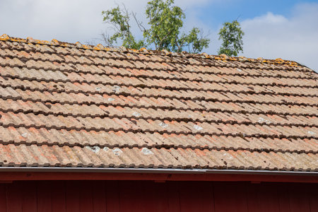 Old tiled roof with weathered clay tiles. Rustic texture, aged patina, and traditional roofing materials, reflecting historical northern architectureの写真素材