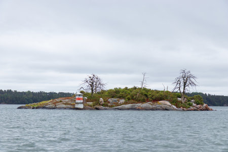 Island with dead trees in northern landscape. Dramatic scene highlighting ecological change, natural decay, and rugged coastal environment of the Baltic regionの写真素材