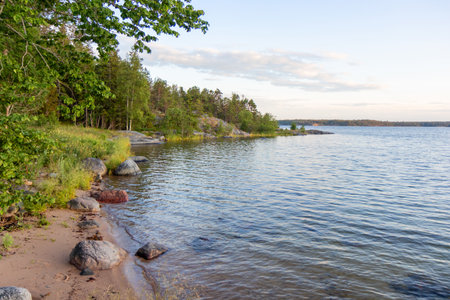 Stones on the Baltic Sea shore, natural untouched coastline highlighting ecology, marine ecosystem, and northern sustainable landscape conservationの写真素材