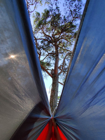 View looking up at a person relaxing in a hammock, framed by trees and sky, capturing a peaceful, leisurely moment in nature and the serenity of outdoor restの写真素材