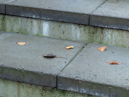 A wet concrete stair with fallen leaf and a single cigarette butt, suggesting an outdoor, public...