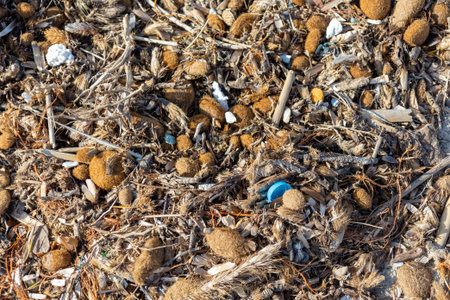 Plastic debris and microplastics mixed with organic matter lie on sand. Broken-down plastics, like bottle caps, pollute land and marine environments, threatening ecosystems and food websの写真素材
