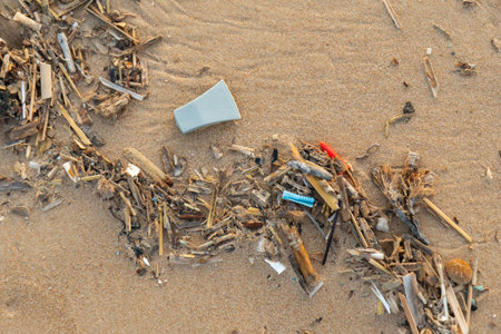 Plastic debris and microplastics mixed with organic matter lie on sand. Broken-down plastics, like...