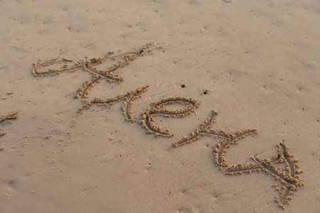 A close-up, low-angle photograph of the name Alena written in Cyrillic script, drawn into the wet, tan-colored beach sand. Vacation, travel, romance, personal messages, summer holidaysの写真素材