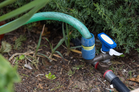 A garden hose is connected to a water valve, indicating a watering system in action. The scene...