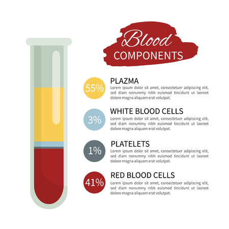 Infographics of the components of blood. A test tube with blood.のイラスト素材