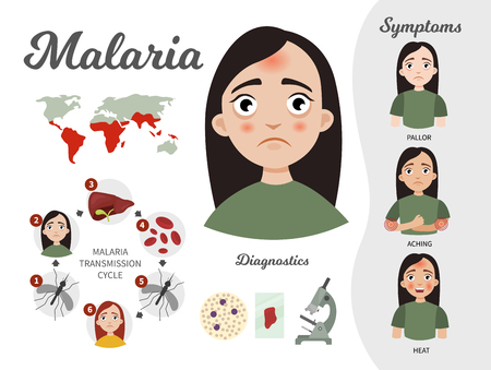 Infographics of malaria. Illustration of a cute girl. The development cycle of the malarial plasmodia. Statistics and symptoms of the disease.のイラスト素材