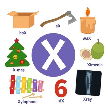 Vector cute kids animal alphabet. Letter X. Set of cute cartoon illustrations.のイラスト素材