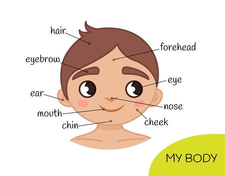 Educational material for children My body. My face.  Illustration of a cartoon boy.のイラスト素材