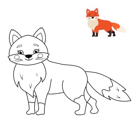 Coloring book for children. Forest animals collection. Cartoon cute fox.のイラスト素材