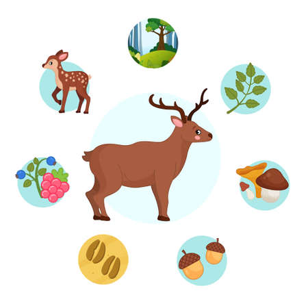 Vector illustration of forest animals. Cute cartoon deer. Set of icons.のイラスト素材