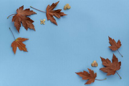 Autumn leaf flat lay composition. Frame from red maple leaves on blue paper background. Autumn concept. Fall leaves design. Top view, copy spaceの写真素材
