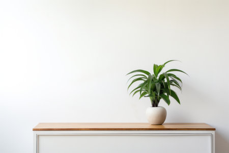 Minimalist and elegant interior design with green plant in white ceramic pot stands on light wooden table against white wall. Simple living, nomadic home design, modern living room interior.の素材