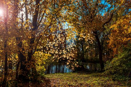 Beautiful autumn colors in the park