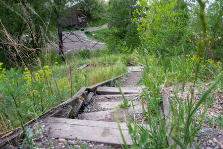 Old wooden broken steps on a hillside, old wooden staircase lined with tall grass, background.の写真素材