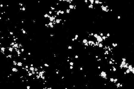 Many snowflakes on a black background, The background image resembling a dark starry sky.の写真素材