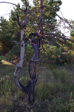 Portrait of a caucasian cute boy in a gray t-shirt and dark pants sitting on a big old tree on a sunny day. vertical.