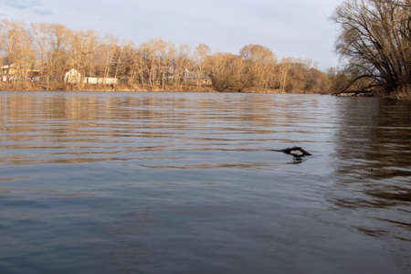 In early spring, on the banks of the river. The opposite shore is lit by the setting sun.の写真素材